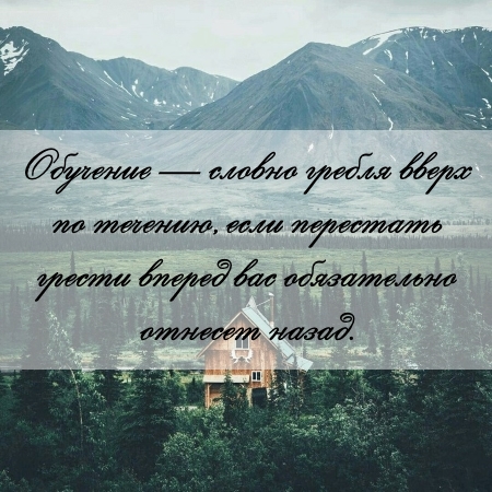 цитата об образовании и дипломе